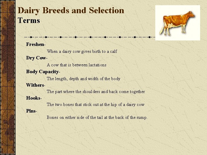 Dairy Breeds and Selection Terms Freshen. When a dairy cow gives birth to a