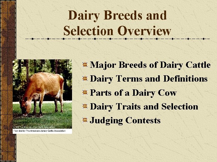 Dairy Breeds and Selection Overview Major Breeds of Dairy Cattle Dairy Terms and Definitions