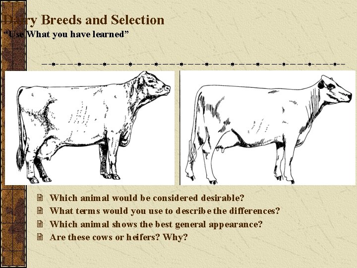 Dairy Breeds and Selection “Use What you have learned” 2 2 Which animal would