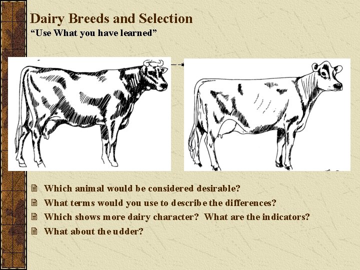 Dairy Breeds and Selection “Use What you have learned” 2 2 Which animal would