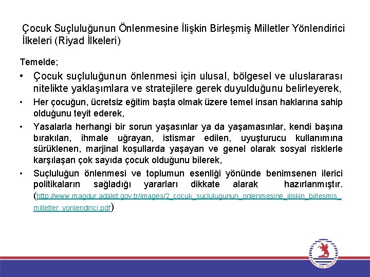 Çocuk Suçluluğunun Önlenmesine İlişkin Birleşmiş Milletler Yönlendirici İlkeleri (Riyad İlkeleri) Temelde; • Çocuk suçluluğunun