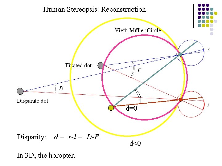 Human Stereopsis: Reconstruction d=0 Disparity: d = r-l = D-F. In 3 D, the