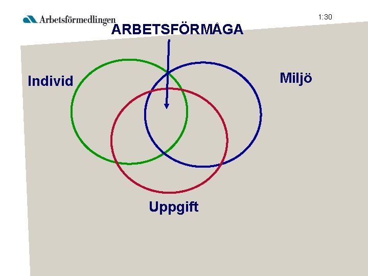 1: 30 ARBETSFÖRMÅGA Miljö Individ Uppgift 