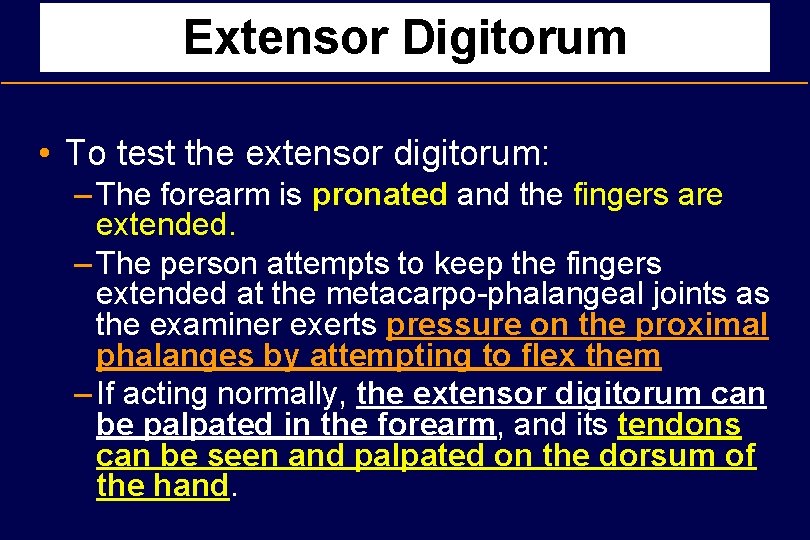 Extensor Digitorum • To test the extensor digitorum: – The forearm is pronated and