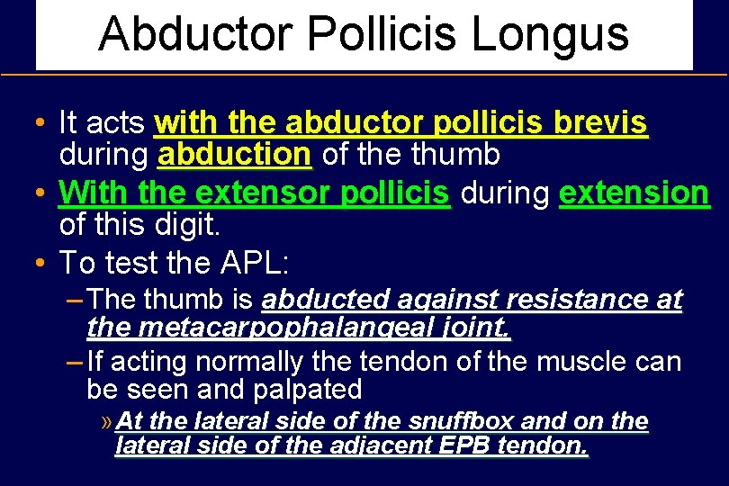 Abductor Pollicis Longus • It acts with the abductor pollicis brevis during abduction of