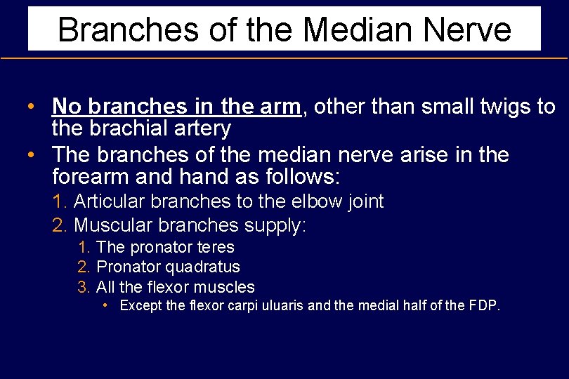 Branches of the Median Nerve • No branches in the arm, other than small