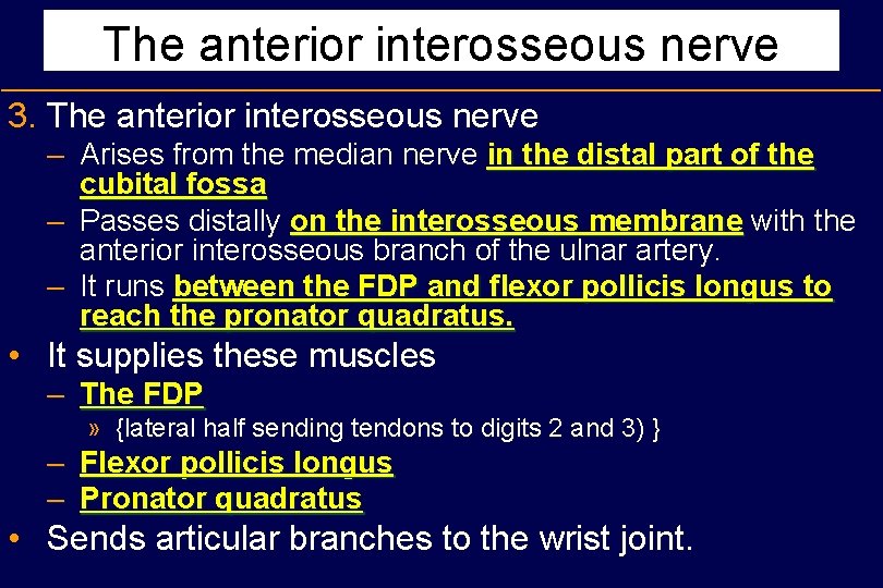 The anterior interosseous nerve 3. The anterior interosseous nerve – Arises from the median