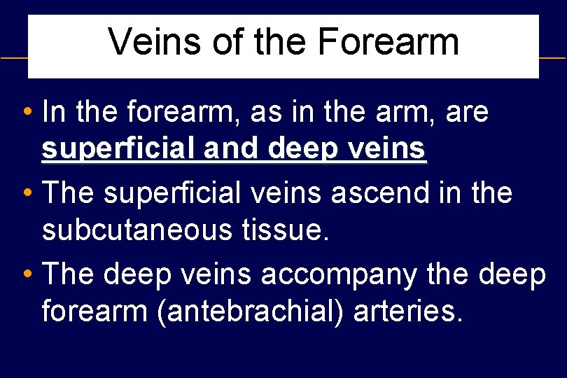 Veins of the Forearm • In the forearm, as in the arm, are superficial