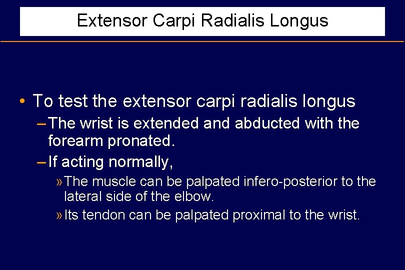 Extensor Carpi Radialis Longus • To test the extensor carpi radialis longus – The