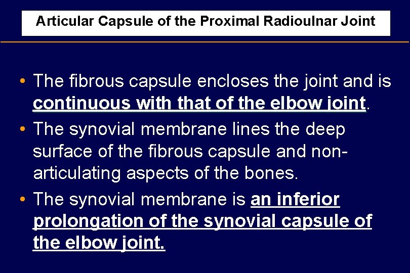 Articular Capsule of the Proximal Radioulnar Joint • The fibrous capsule encloses the joint