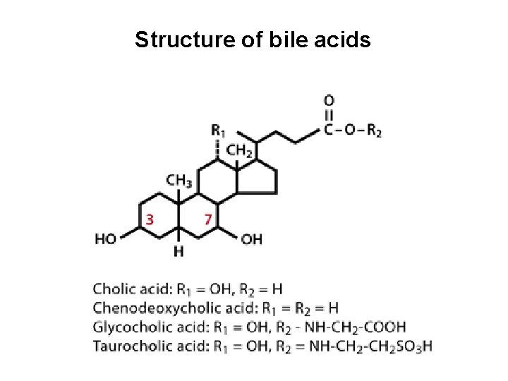Structure of bile acids 