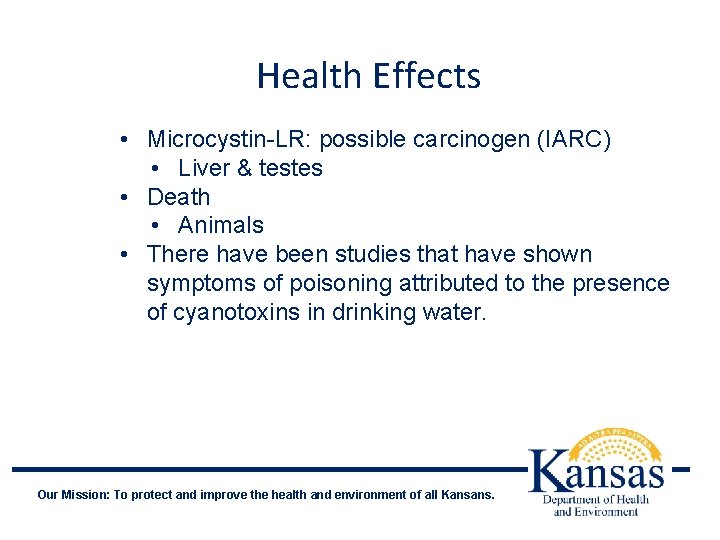 Health Effects • Microcystin-LR: possible carcinogen (IARC) • Liver & testes • Death •