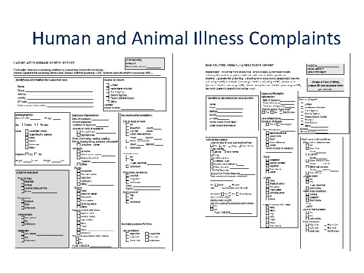 Human and Animal Illness Complaints 