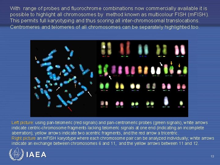 With range of probes and fluorochrome combinations now commercially available it is possible to