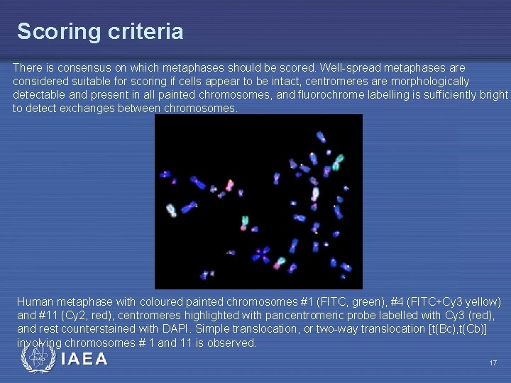 Scoring criteria There is consensus on which metaphases should be scored. Well-spread metaphases are