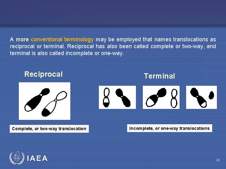 A more conventional terminology may be employed that names translocations as reciprocal or terminal.