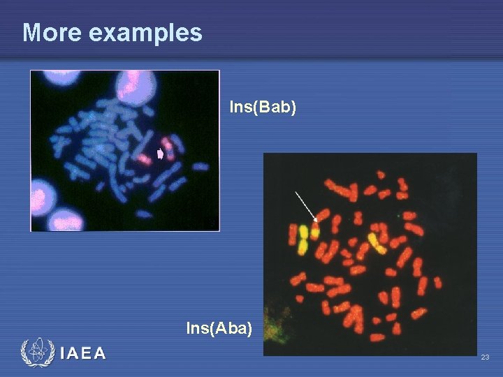 More examples Ins(Bab) Ins(Aba) IAEA 23 