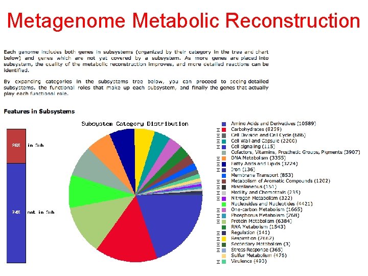 Metagenome Metabolic Reconstruction 
