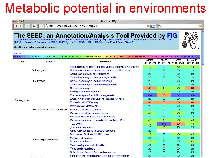 Metabolic potential in environments 