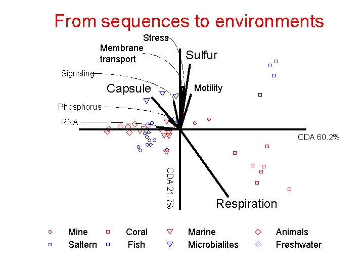 From sequences to environments Stress Membrane transport Sulfur Signaling Capsule Motility Phosphorus RNA CDA