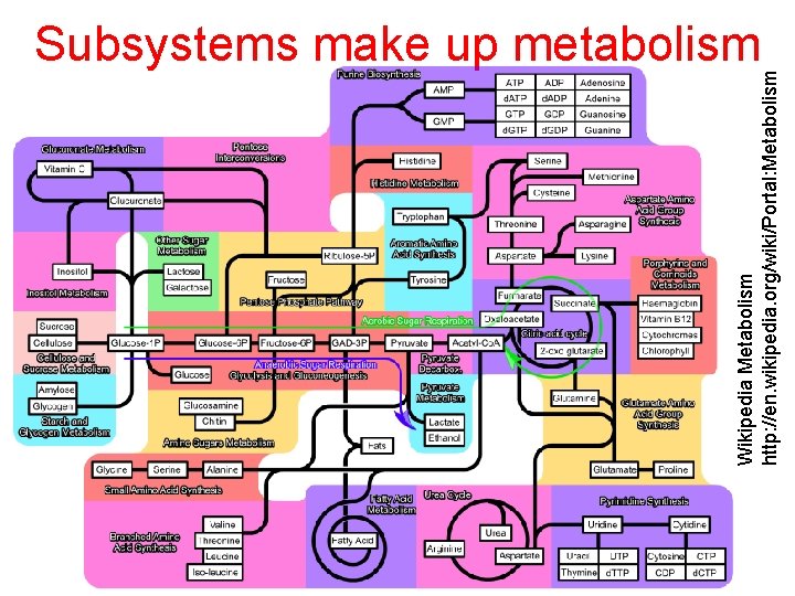 Wikipedia Metabolism http: //en. wikipedia. org/wiki/Portal: Metabolism Subsystems make up metabolism 