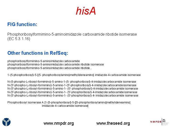 his. A FIG function: Phosphoribosylformimino-5 -aminoimidazole carboxamide ribotide isomerase (EC 5. 3. 1. 16)