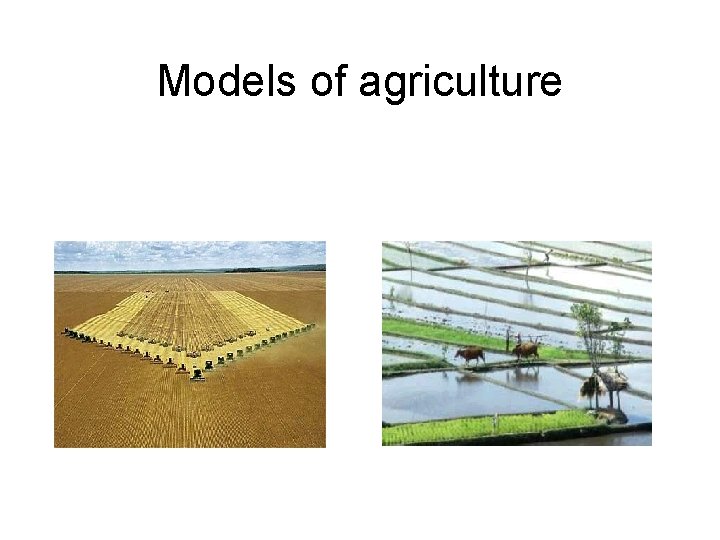 Models of agriculture 