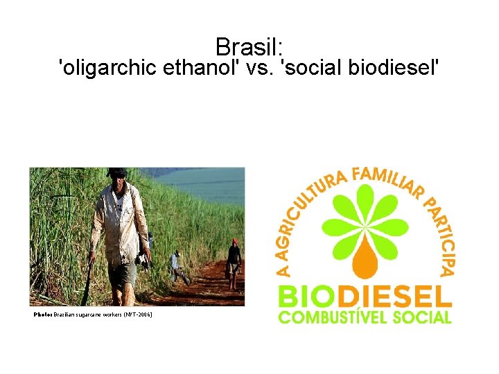 Brasil: 'oligarchic ethanol' vs. 'social biodiesel' Photo: Brazilian sugarcane workers (NYT-2006) 