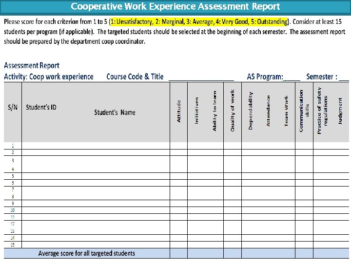 Cooperative Work Experience Assessment Report 