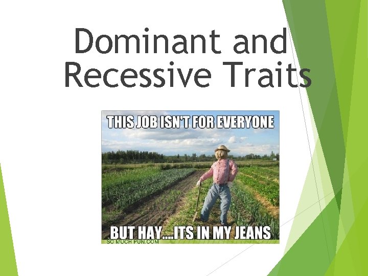 Dominant and Recessive Traits 