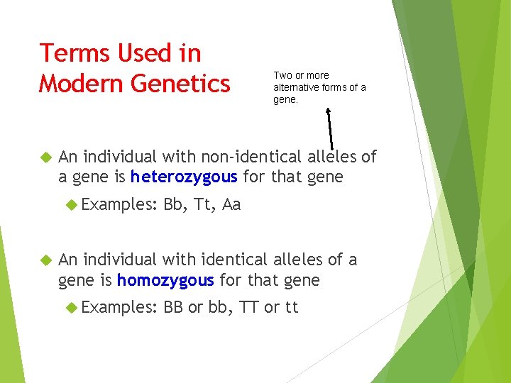 Terms Used in Modern Genetics An individual with non-identical alleles of a gene is
