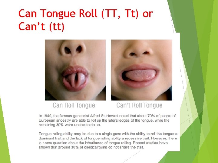 Can Tongue Roll (TT, Tt) or Can’t (tt) 