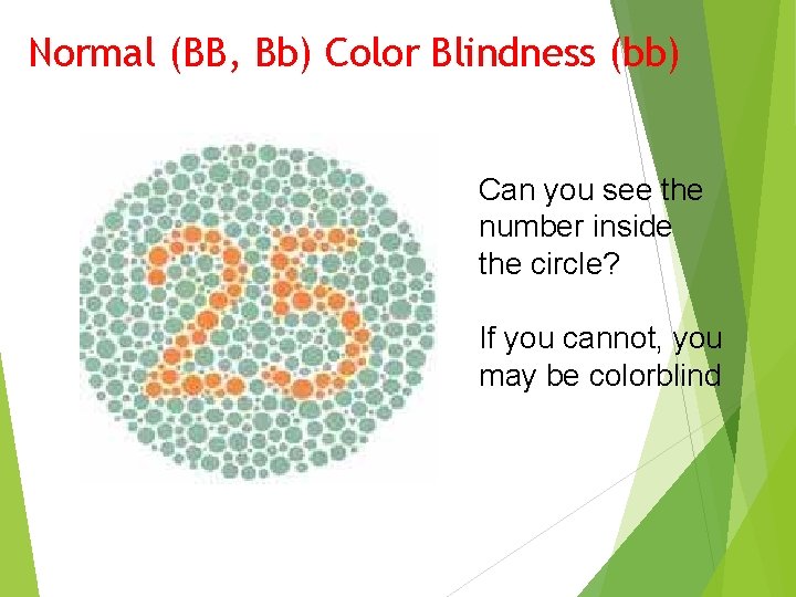 Normal (BB, Bb) Color Blindness (bb) Can you see the number inside the circle?