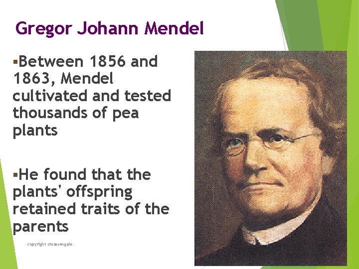 Gregor Johann Mendel §Between 1856 and 1863, Mendel cultivated and tested thousands of pea