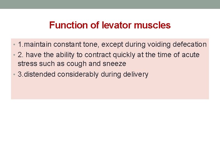 Function of levator muscles • 1. maintain constant tone, except during voiding defecation •