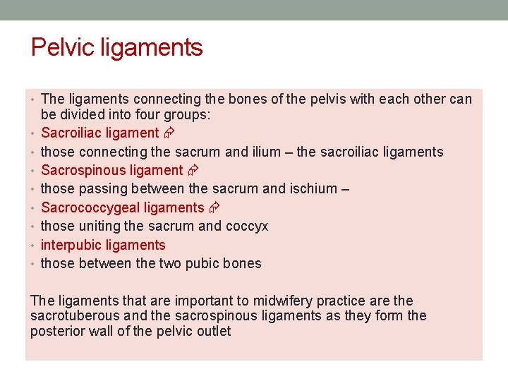 Pelvic ligaments • The ligaments connecting the bones of the pelvis with each other