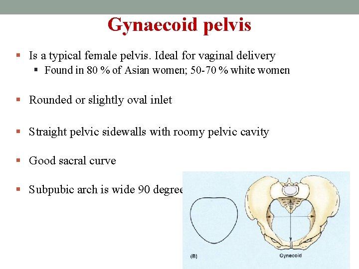 Gynaecoid pelvis § Is a typical female pelvis. Ideal for vaginal delivery § Found