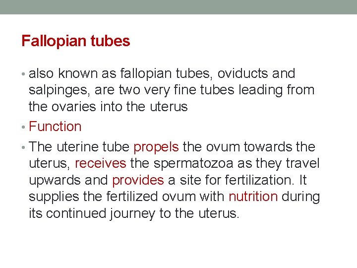 Fallopian tubes • also known as fallopian tubes, oviducts and salpinges, are two very