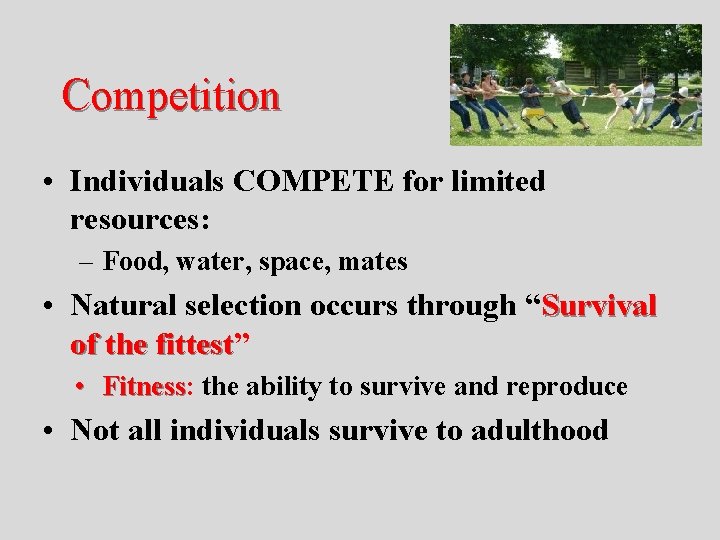 Competition • Individuals COMPETE for limited resources: – Food, water, space, mates • Natural