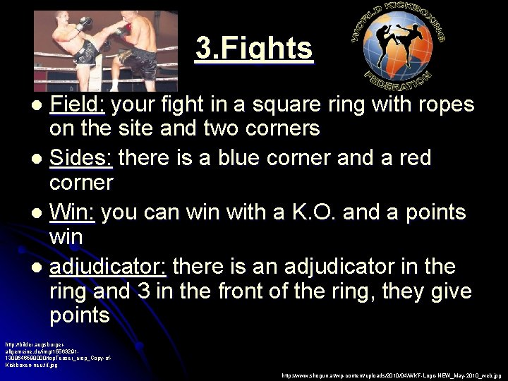 3. Fights Field: your fight in a square ring with ropes on the site