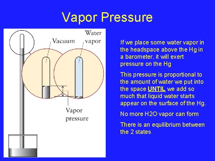 Vapor Pressure If we place some water vapor in the headspace above the Hg