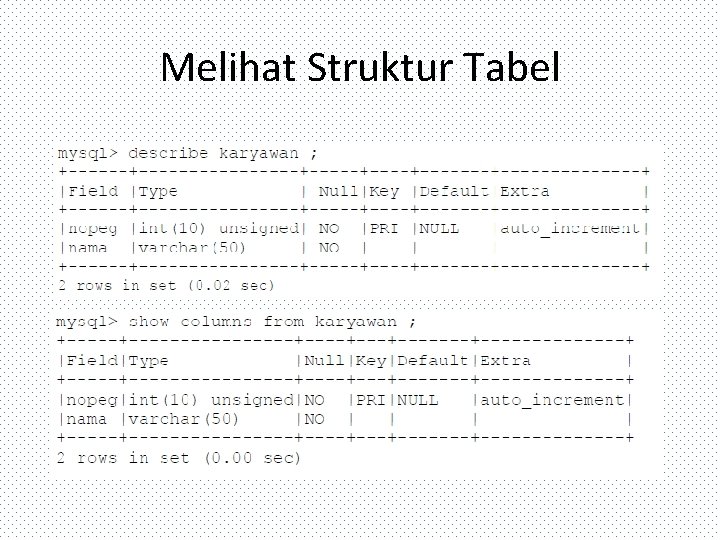 Melihat Struktur Tabel 