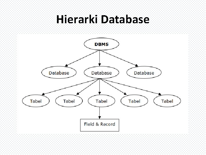 Hierarki Database 