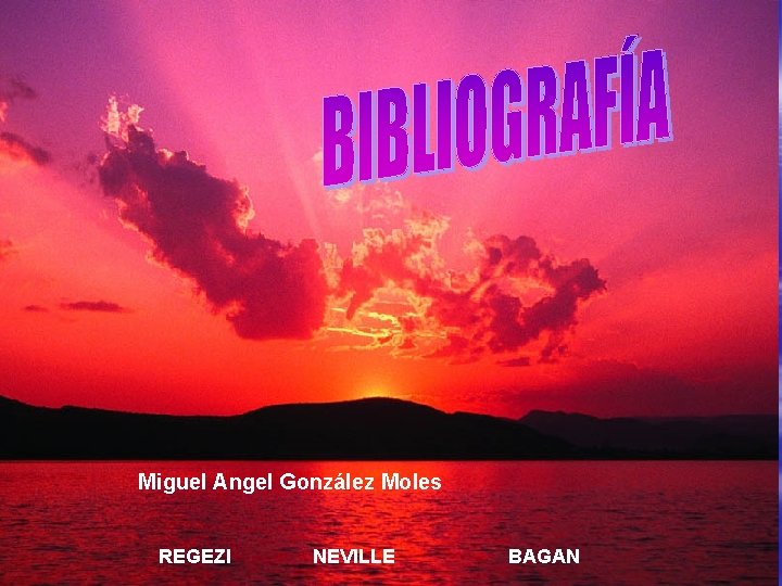 Miguel Angel González Moles REGEZI NEVILLE BAGAN 