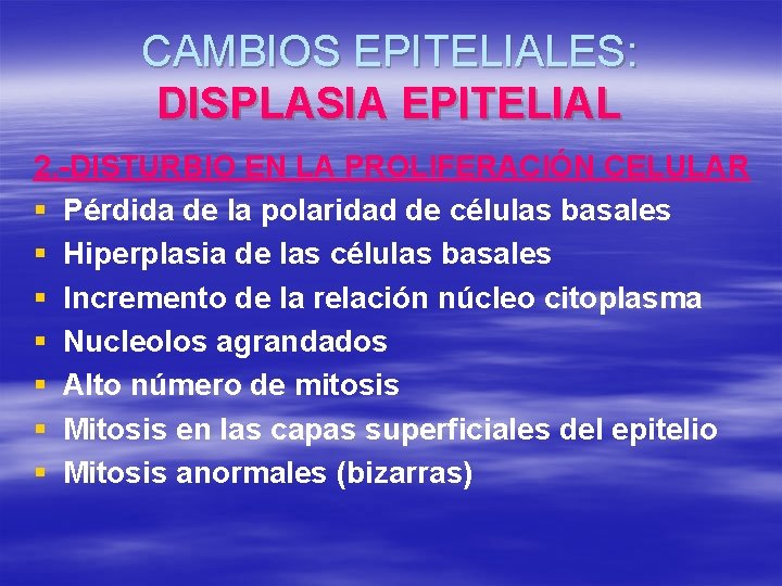 CAMBIOS EPITELIALES: DISPLASIA EPITELIAL 2. -DISTURBIO EN LA PROLIFERACIÓN CELULAR § Pérdida de la