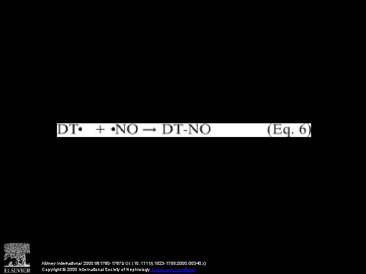 Kidney International 2000 581780 -1787 DOI: (10. 1111/j. 1523 -1755. 2000. 00340. x) Copyright