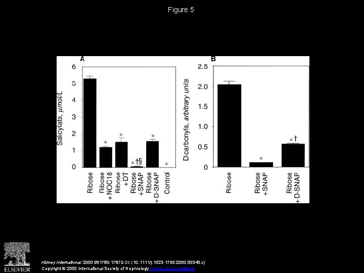 Figure 5 Kidney International 2000 581780 -1787 DOI: (10. 1111/j. 1523 -1755. 2000. 00340.