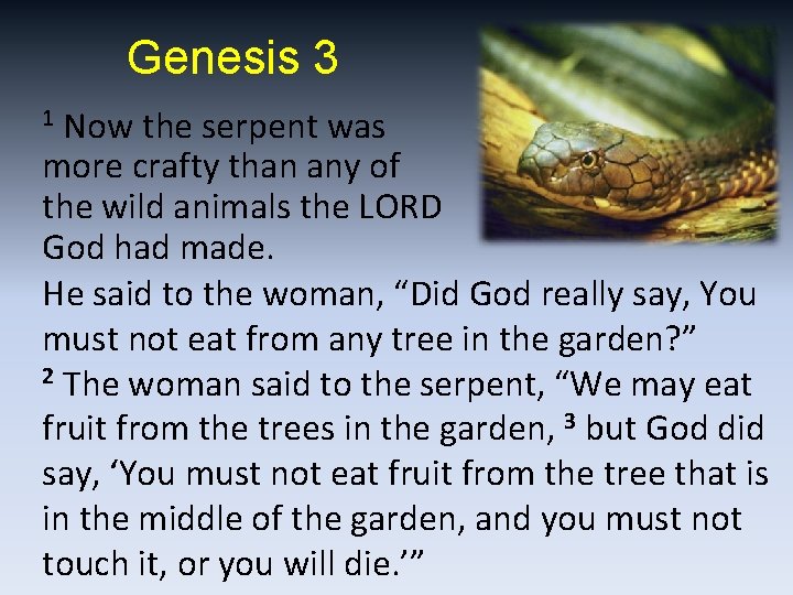 Genesis 3 Now the serpent was more crafty than any of the wild animals