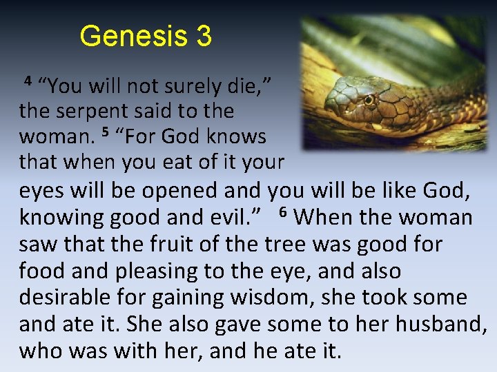 Genesis 3 “You will not surely die, ” the serpent said to the woman.