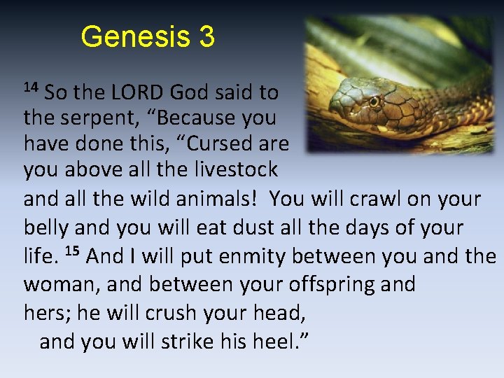 Genesis 3 So the LORD God said to the serpent, “Because you have done